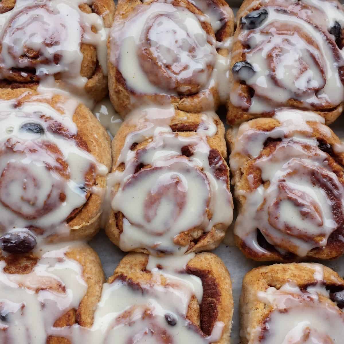 Freshly baked cinnamon rolls with white icing