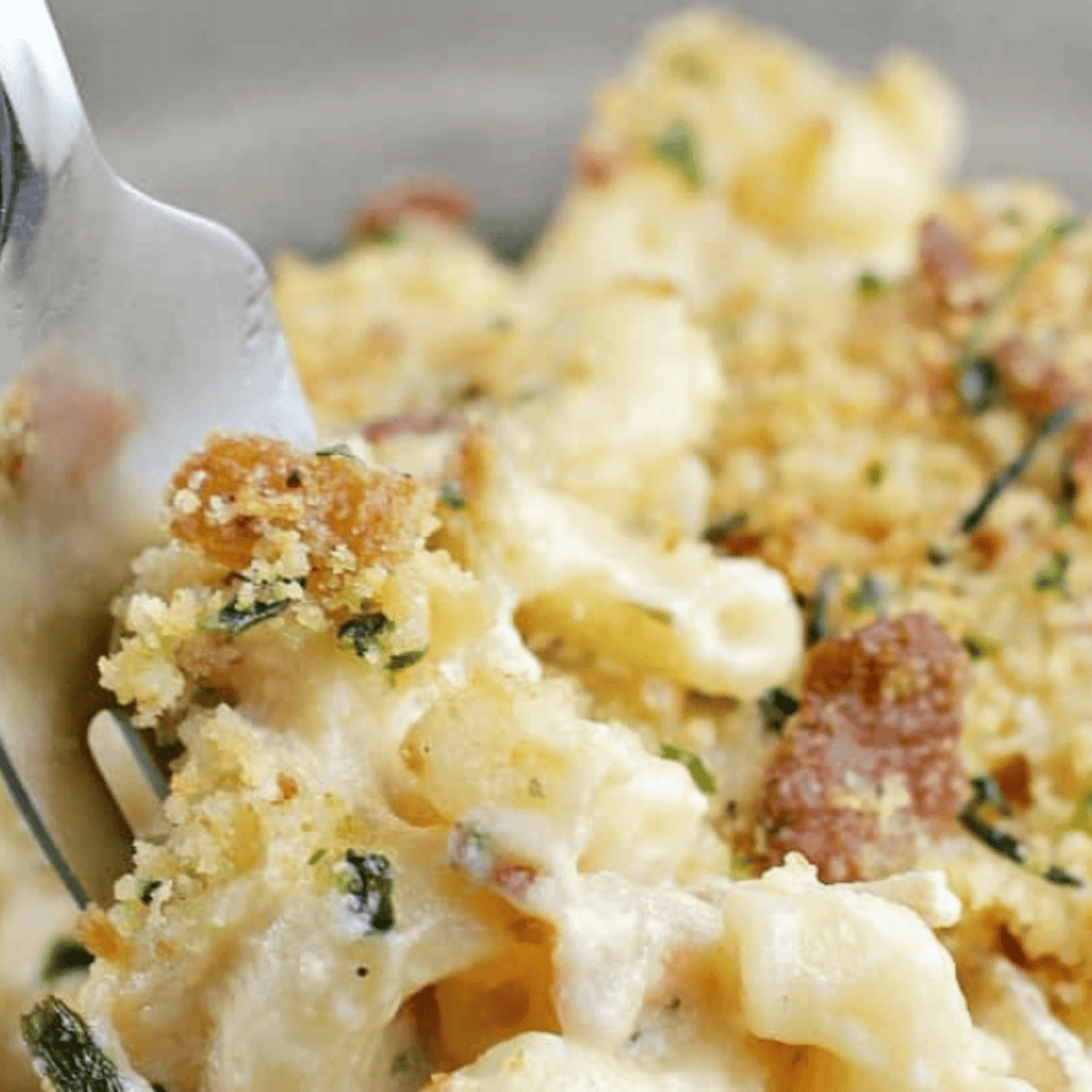 The Ultimate Macaroni and Cheese