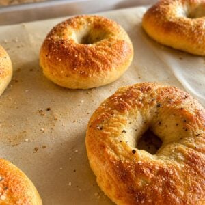 Homemade bagels straight from the oven