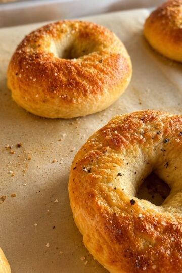 Homemade bagels straight from the oven