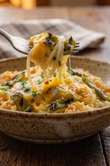 Chicken spaghetti twirrled on a fork